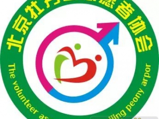 协会过去的logo，站长设计