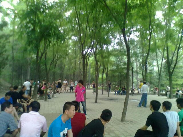 震撼北京城的同志据点牡丹园