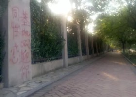 郑州人民公园同志据点感受-男孩久久网